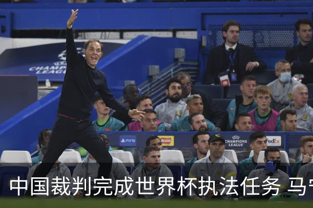 中国裁判完成世界杯执法任务 马宁期待能有更多中国裁判走得更远