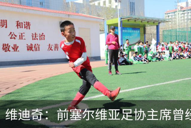 维迪奇：前塞尔维亚足协主席曾经招揽社会闲散人员跟踪我、袭击我