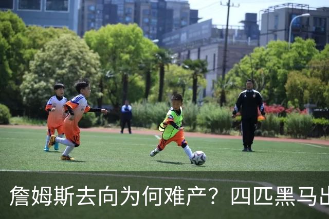 詹姆斯去向为何难产？四匹黑马出现加剧混乱