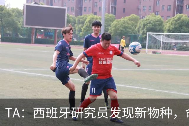 TA：西班牙研究员发现新物种，命名为“沃齐尼亚的海蛞蝓”